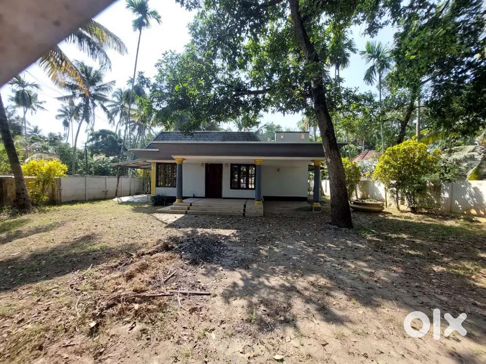 N Paravur Perumpadanna