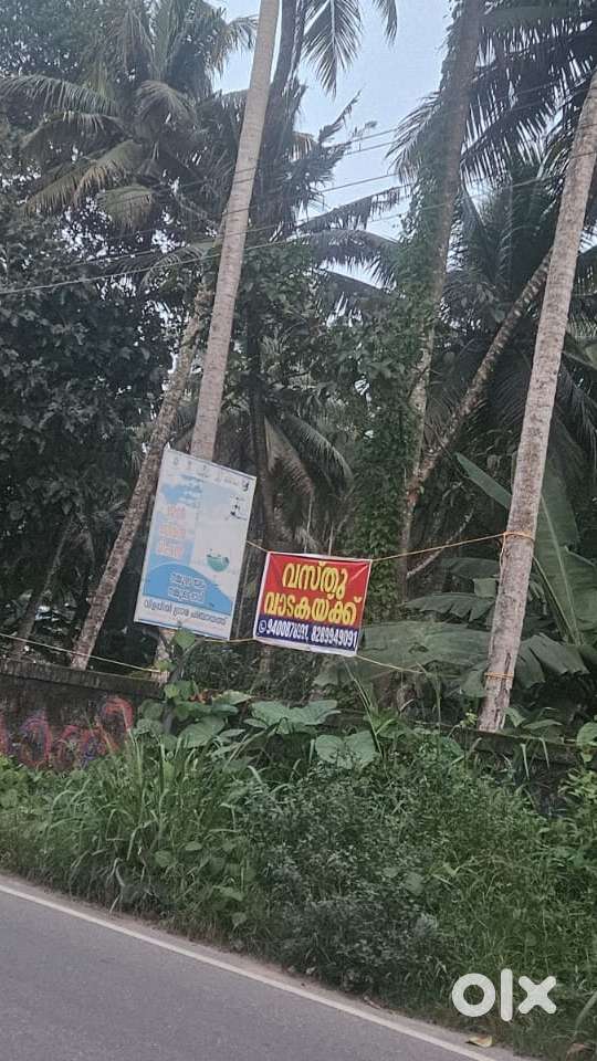 80 Cent land along Roadside for Rent