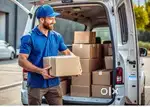 Grocery Delivery Job at Talcher