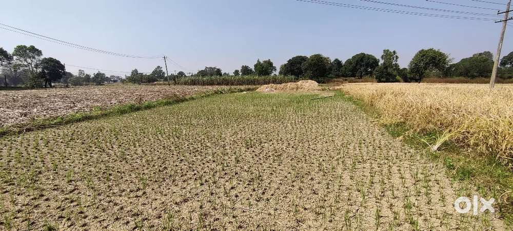 Prime 32 gunta plot for sale