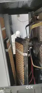 New condition 10 day old cooler