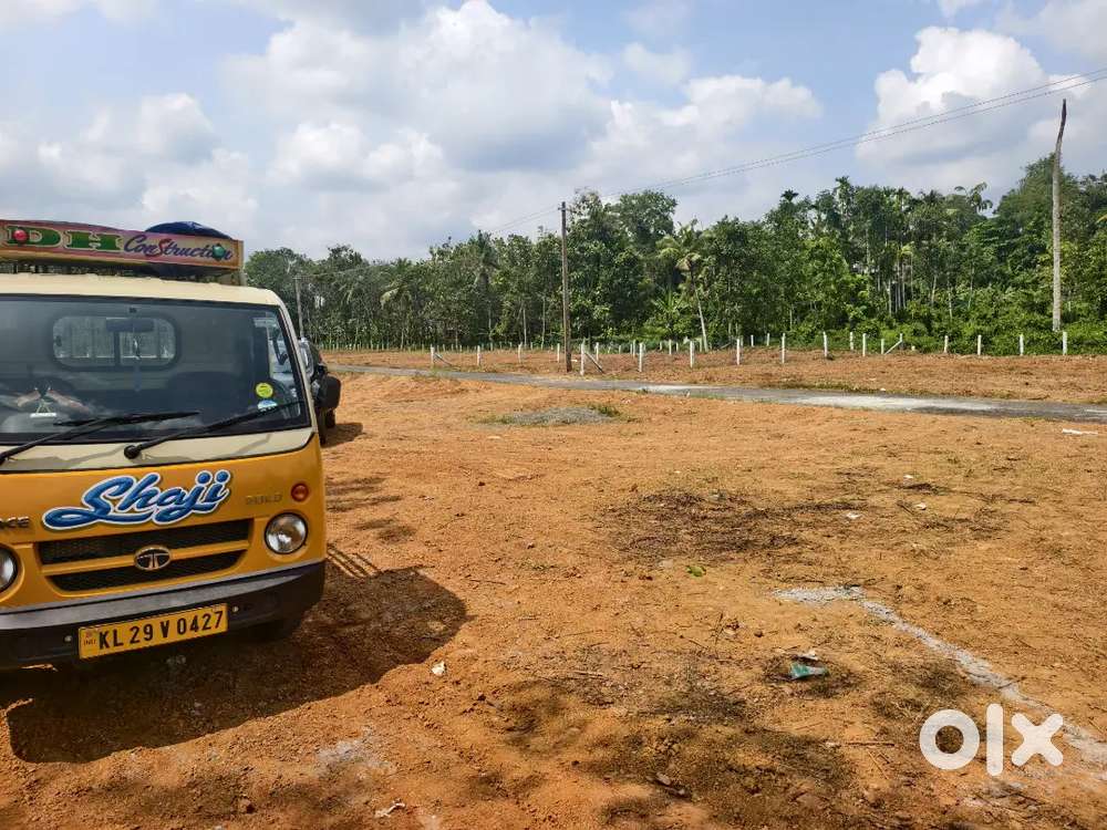 കറ്റാനം കരിമുള്ളക്കൽ സ്ഥലം വില്പനക്ക് 7സെന്റ്  8സെന്റ്  10സെന്റ്