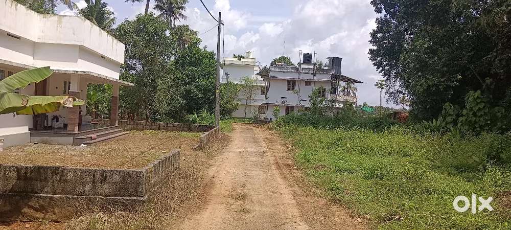ANGAMALY PULIYANAM NEAR BY,5,6,8, 10 CENT PLOTS AVAILABLE