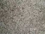 Whirlpool washing topload