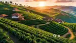 1 Acre of Coffee Plantations for sale in Mudigere at Chickmangaluru