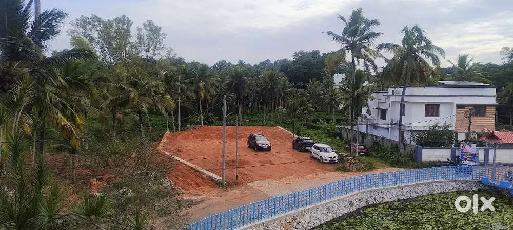 5 cents of land for sale near Viswaprakash central school