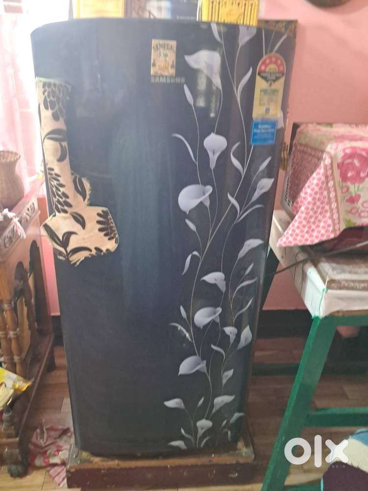 Samsung refrigerator single door