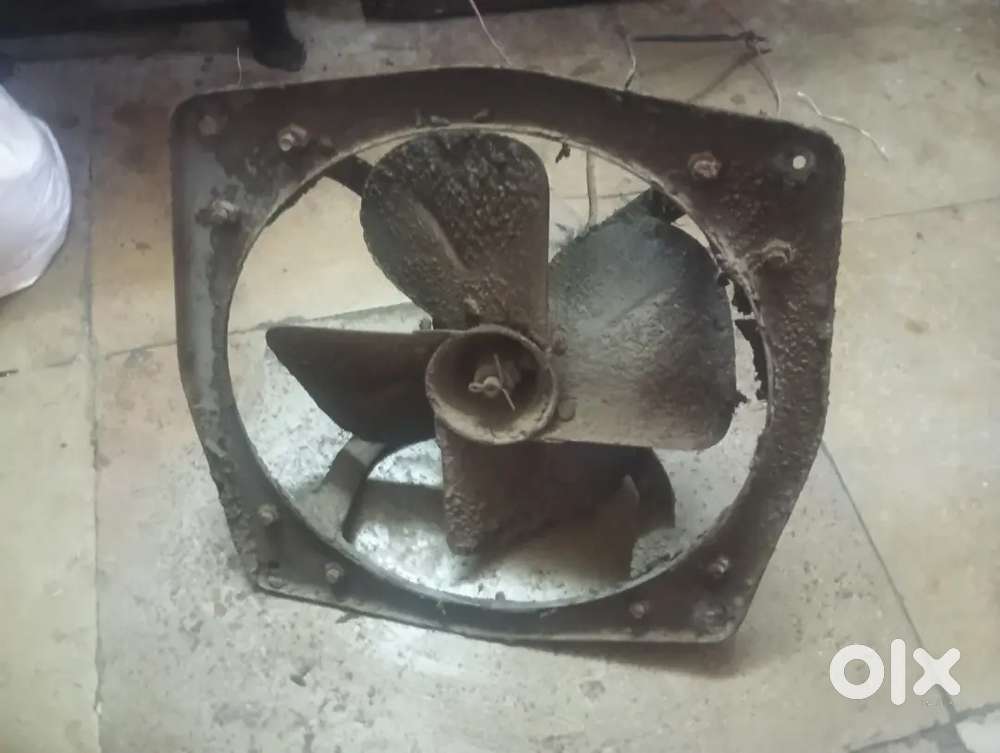 Exost Fan oposite st stand satara