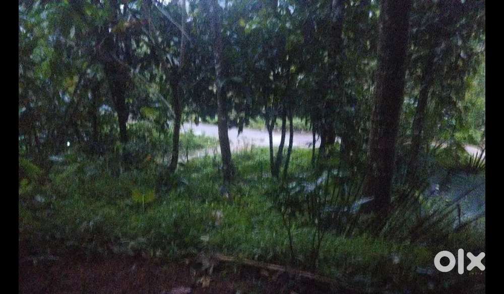 2acre plot for sale. There is another house to sale of 1300 sqrf