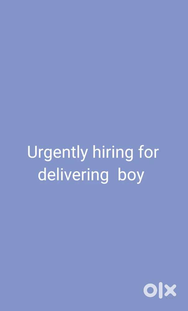 Urgently delivery  boy needed