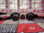 Dslr rent dia hoi..