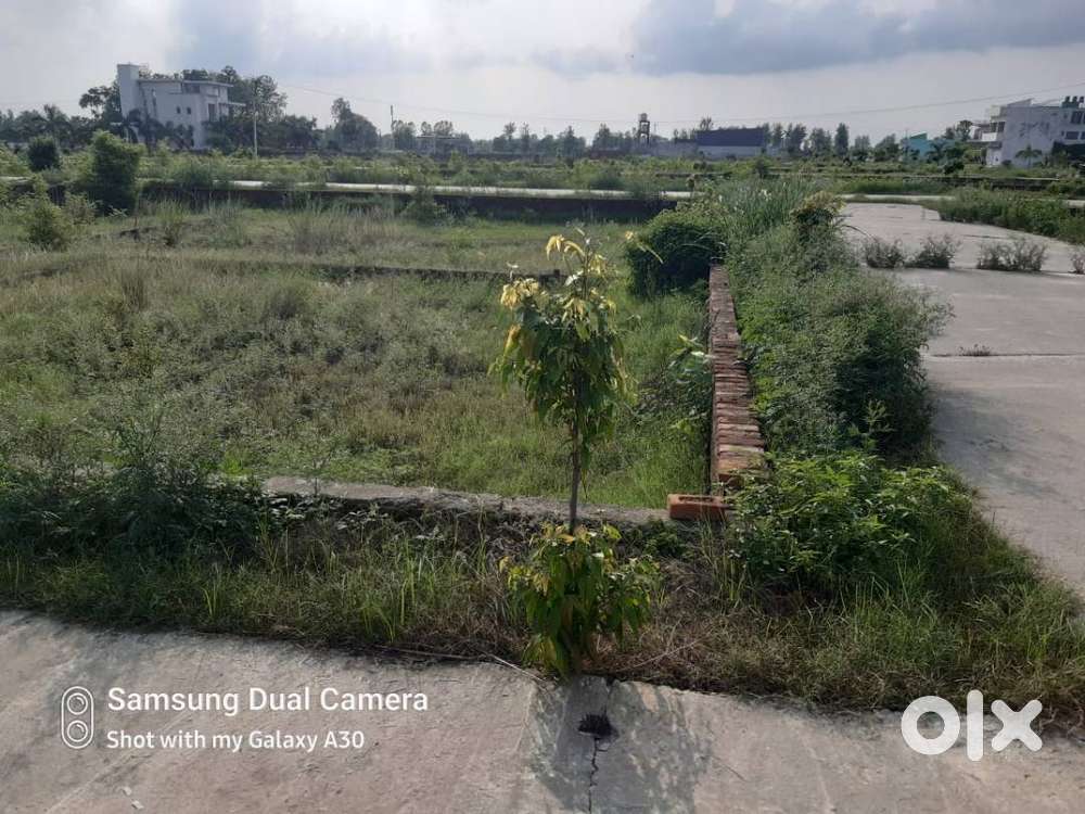 Plots opposite DPS - immediate sale of size 200, 350, 175, 160, 180