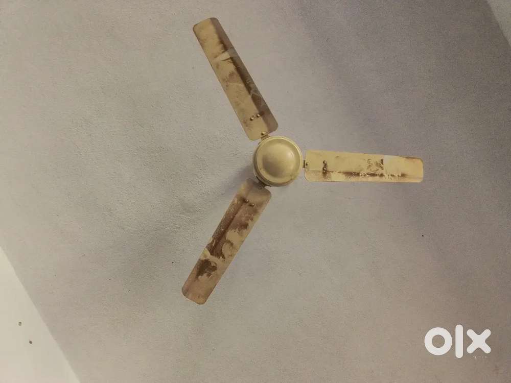 An electric working fan