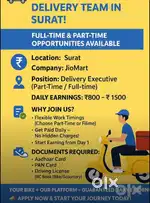 Delivery Executive