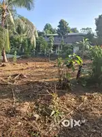 8 Cents plot for residential purpose in Kanjirappally, Podimattom.