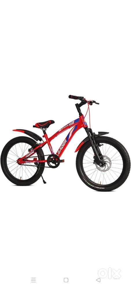 20inch leader brand bicycle boys age from 6 to 11 years