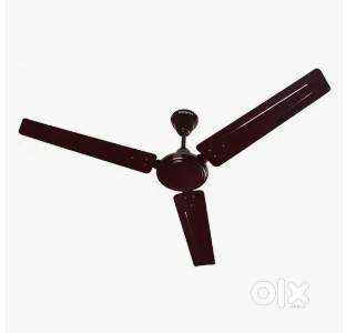 Brand new Crompton Brown color Sea Breeze ceiling fan for sale