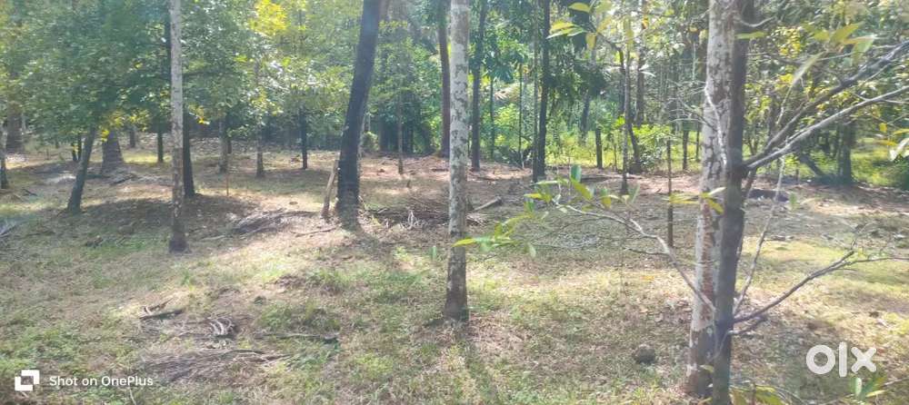 Plot for sale - Thalikulam Snehatheeram Road