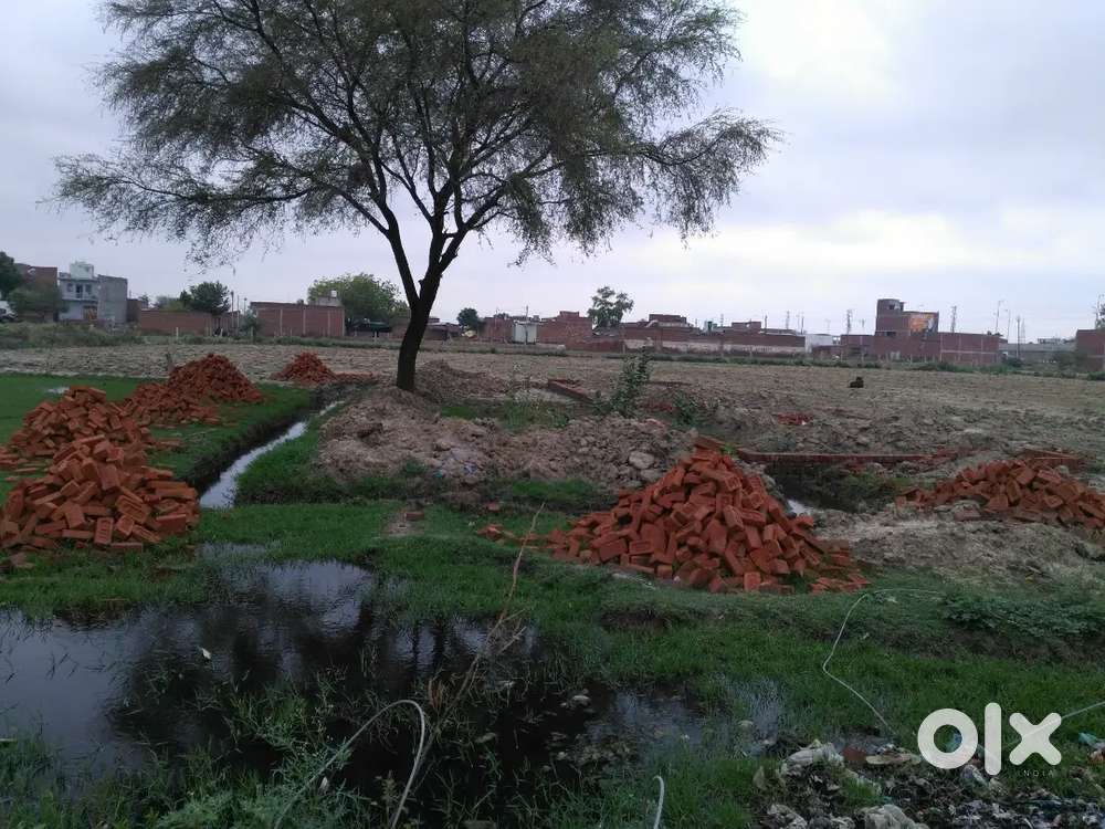 On road sotra road sirsaganj