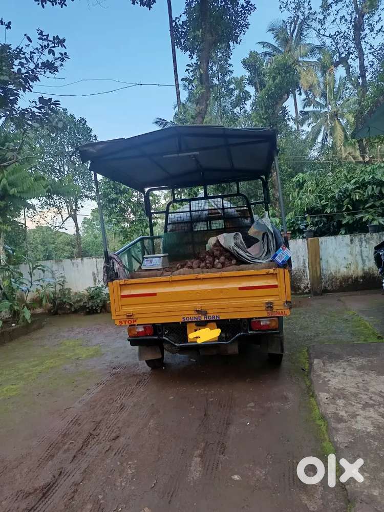 All pepper clr good wrk