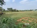 LAND AGRICULTURE
