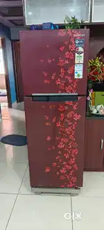 Samsung double door fridge 8 years old