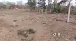 Farm house plot in murbad