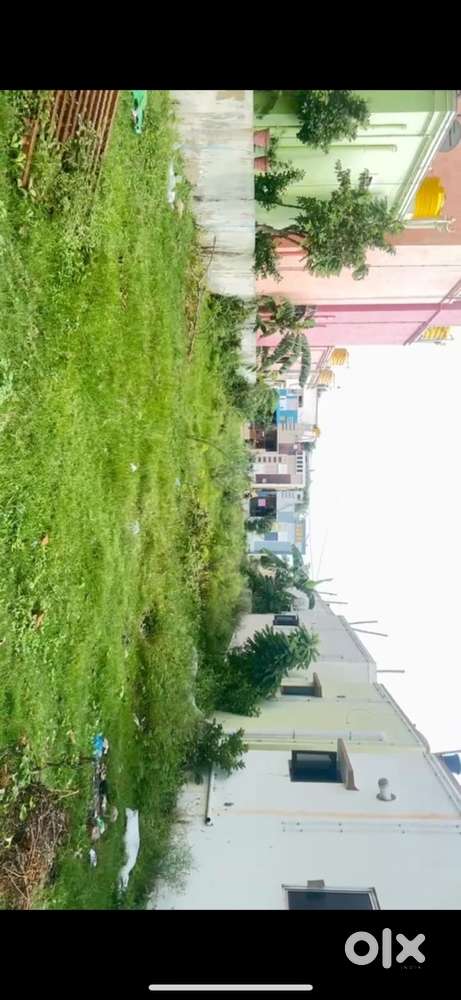 Vepampattu land plot sale near carmel school (50m near to mainroad)