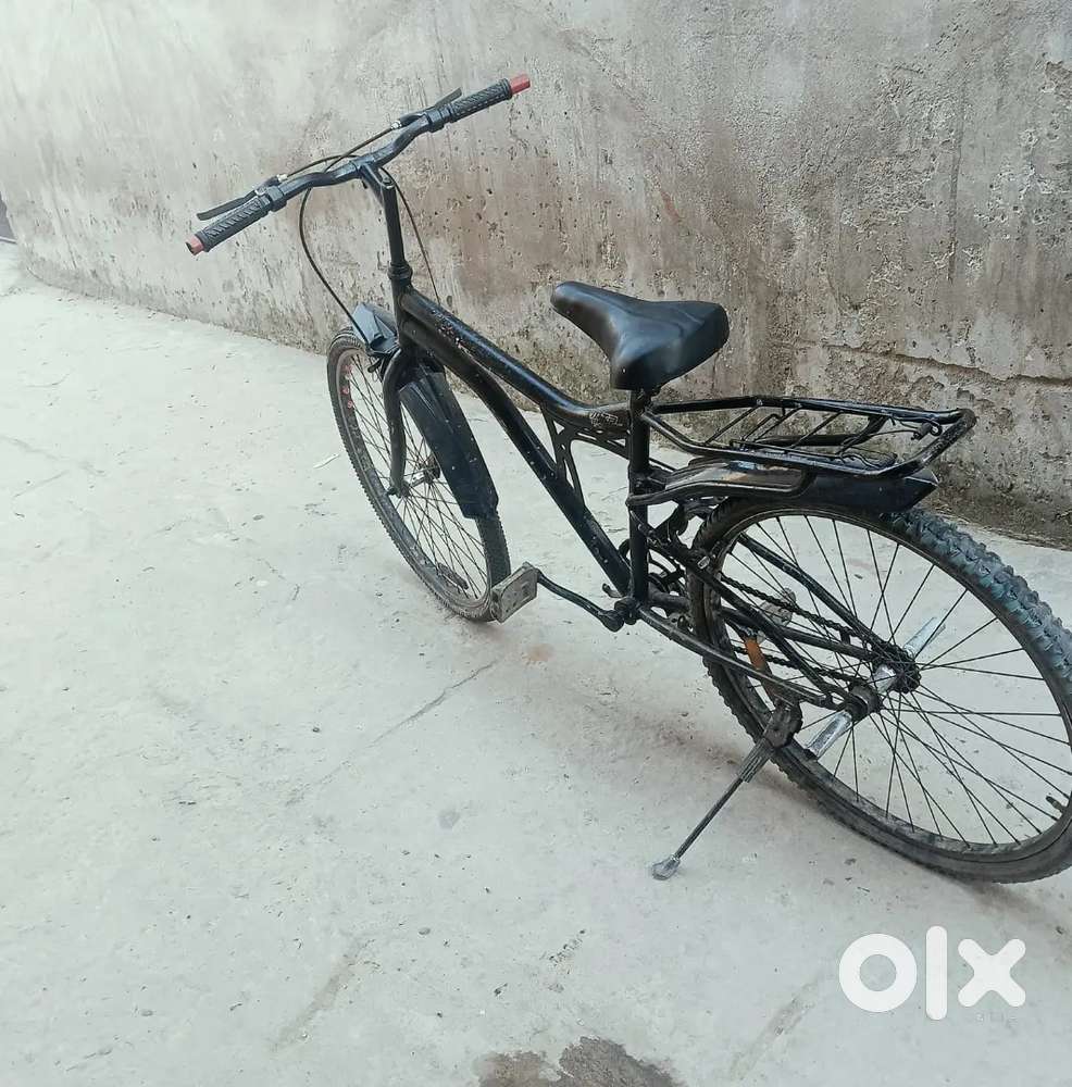 Full condition 1 year old