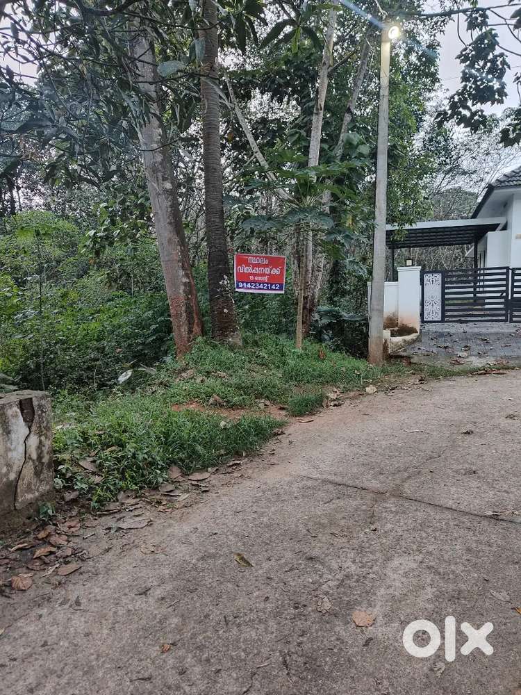 Land for sale 15 cent in muvattupuzha