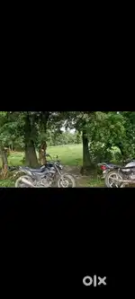 Main road side कासिल खरवा नदियामा गोराडीह road