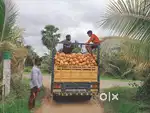 Four wheeler Ashok Leyland driver need