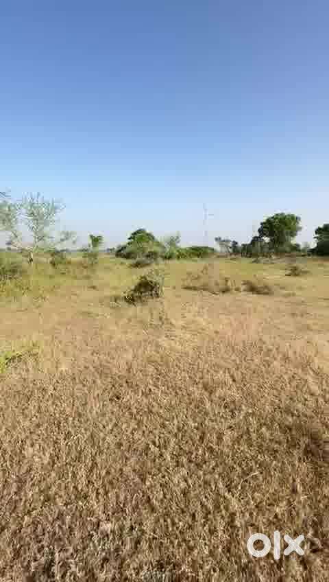૧૩ વીઘા  ૪ ગુંઠા વારસાઈ   ખેતી લાયક જમીન વેચાણ માટે  નાની ભલસાણ ગામ