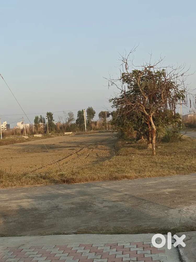 502 gaj corner plot for sale in HSVP Sector-27, Rohtak