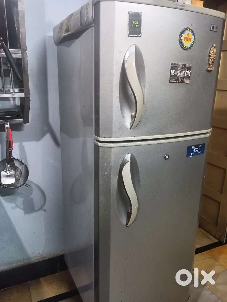 LG 245 Liters double door Frost free Refrigerator