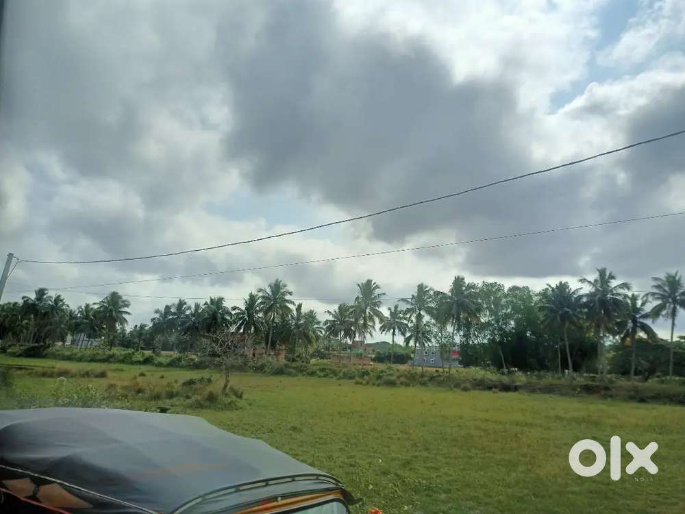 Plot near sisubhawan chhaka towards nabin nibas