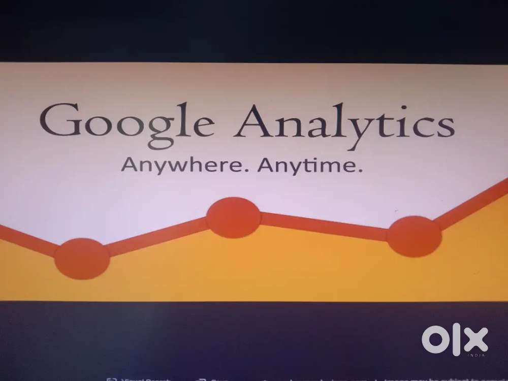 Web analytics professional