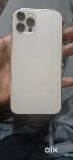 12 pro max 256gb