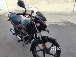 Passion plus model 2024
