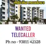 Telecaller