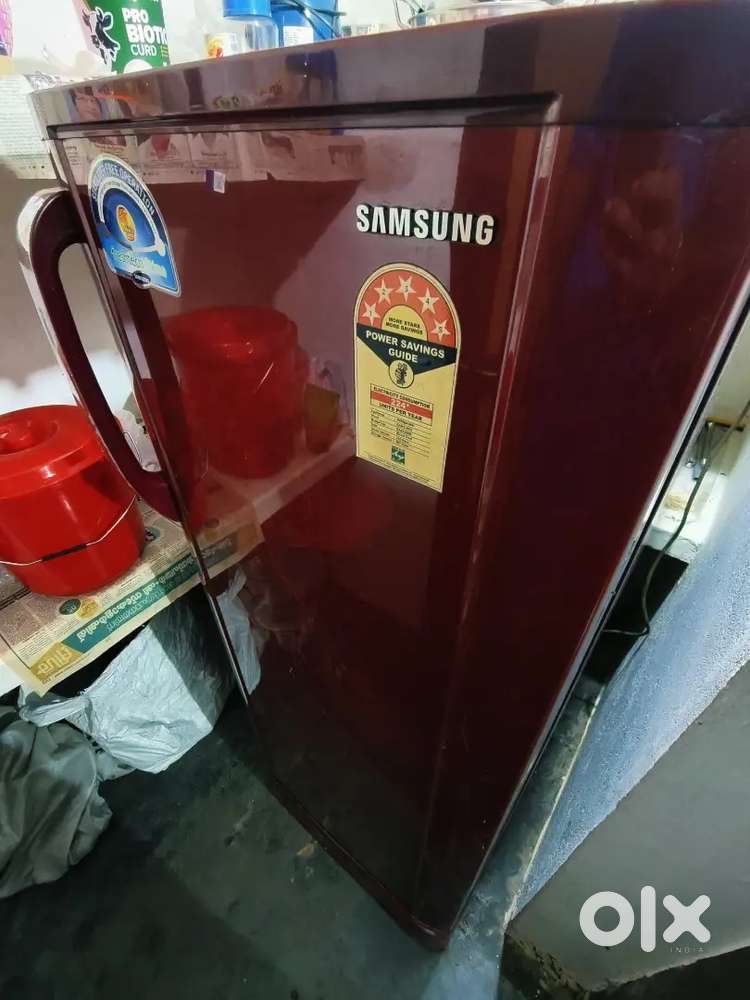 Samsung Fridge