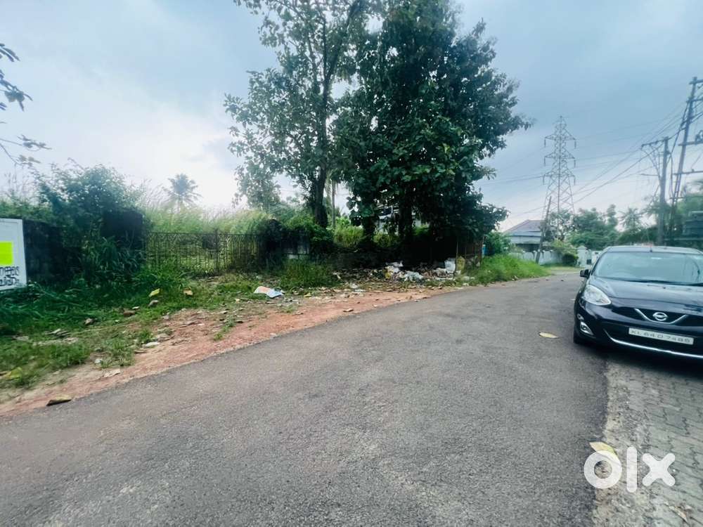 Aluva thottumugham3.75acre land suitable villas ,flat ,Auditorium