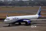 350+ seats Hiring Male Female Candidates in INDIGO AIRLINES