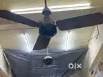 Vintage ceiling fan