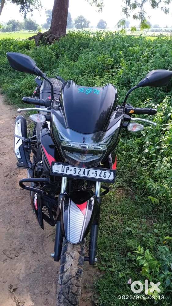 Arjant sel