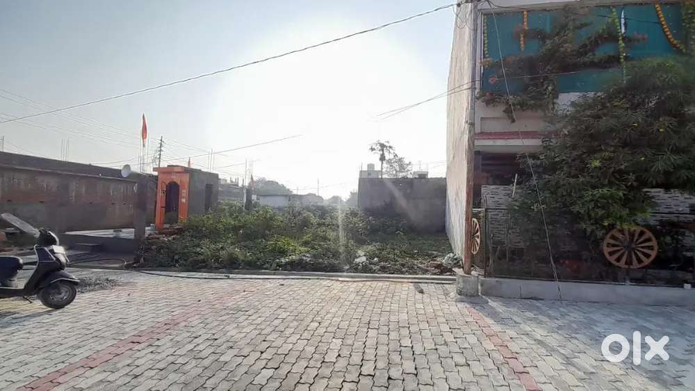 झाॅसी भट्टा गांव रामराजा कॉलोनी मेन रोड से पचास फुट एफेक्स रोड पर