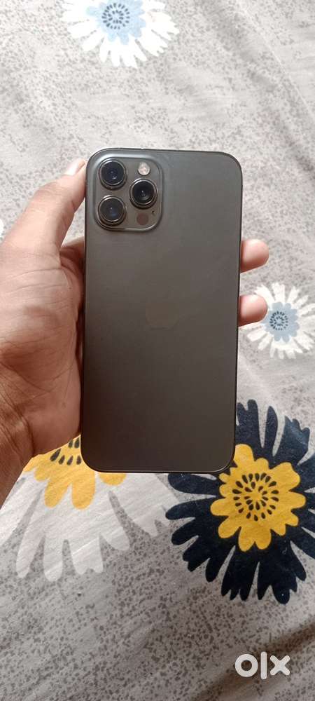12 pro max
