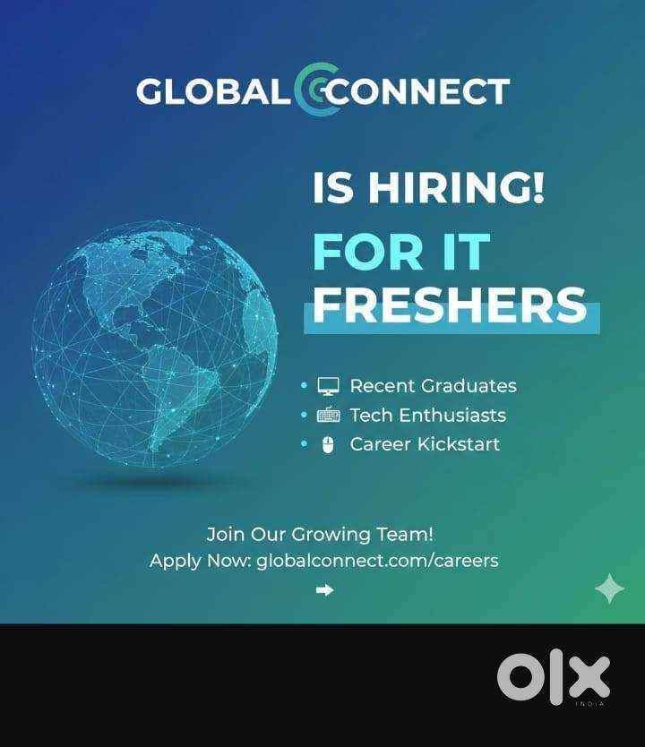 We are looking for IT freshers