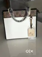 Aldo handbag