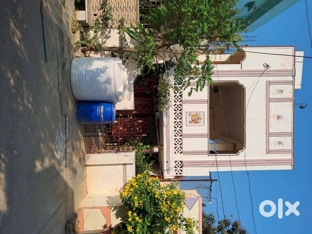 Ground floor and first floor